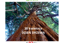 Dzień drzewa w gminie Milicz
