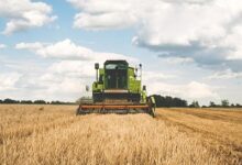 Bezpłatny webinar dla Rolników 20 października – dotacje dla rolnictwa