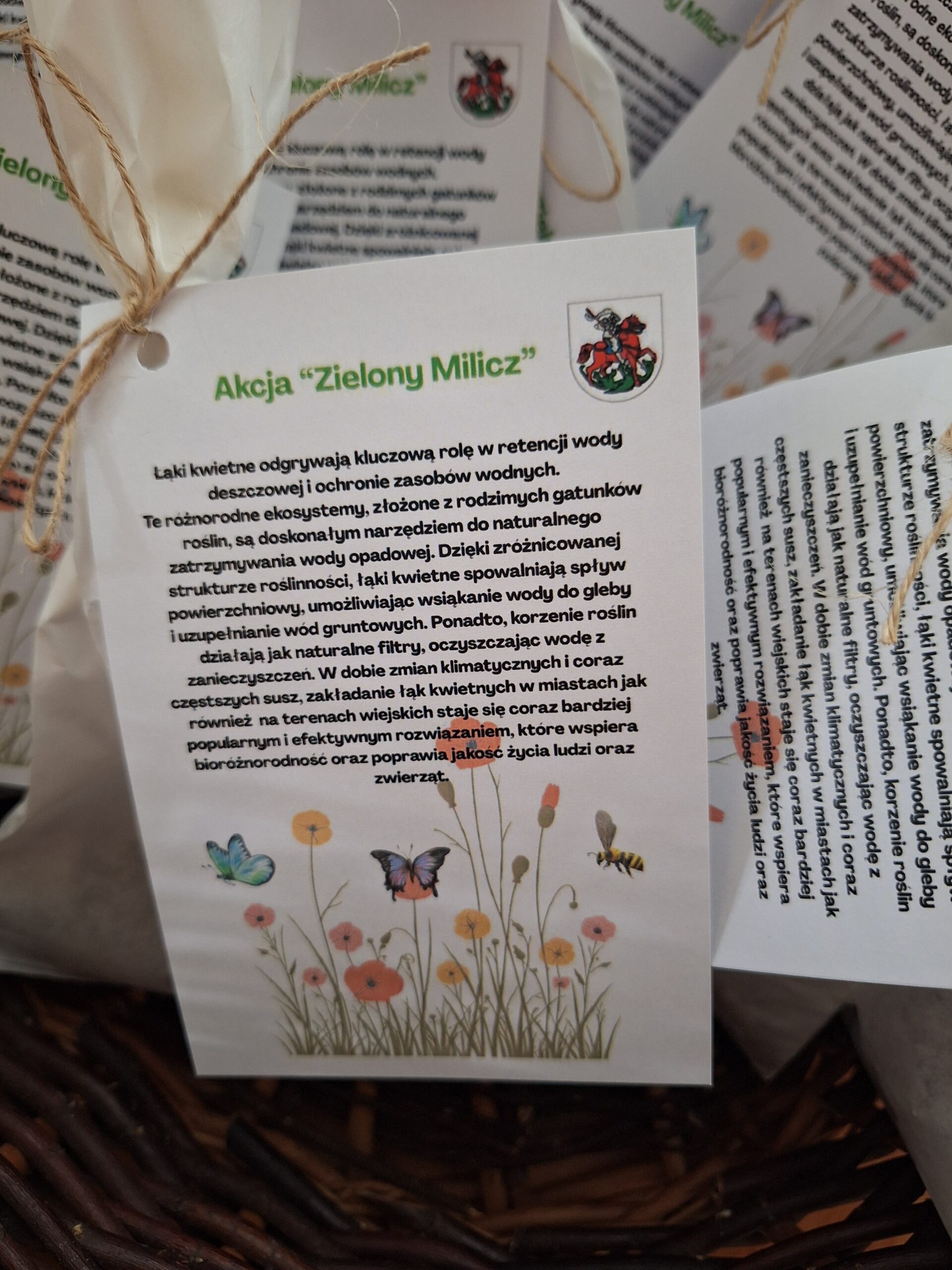 Akcja „Zielony Milicz”, czyli łąki kwietne zamiast krótko przystrzyżonych trawników i wybetonowanych powierzchni.
