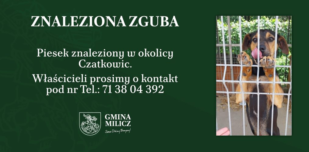 POSZUKIWANY WŁAŚCICIEL ZGUBY