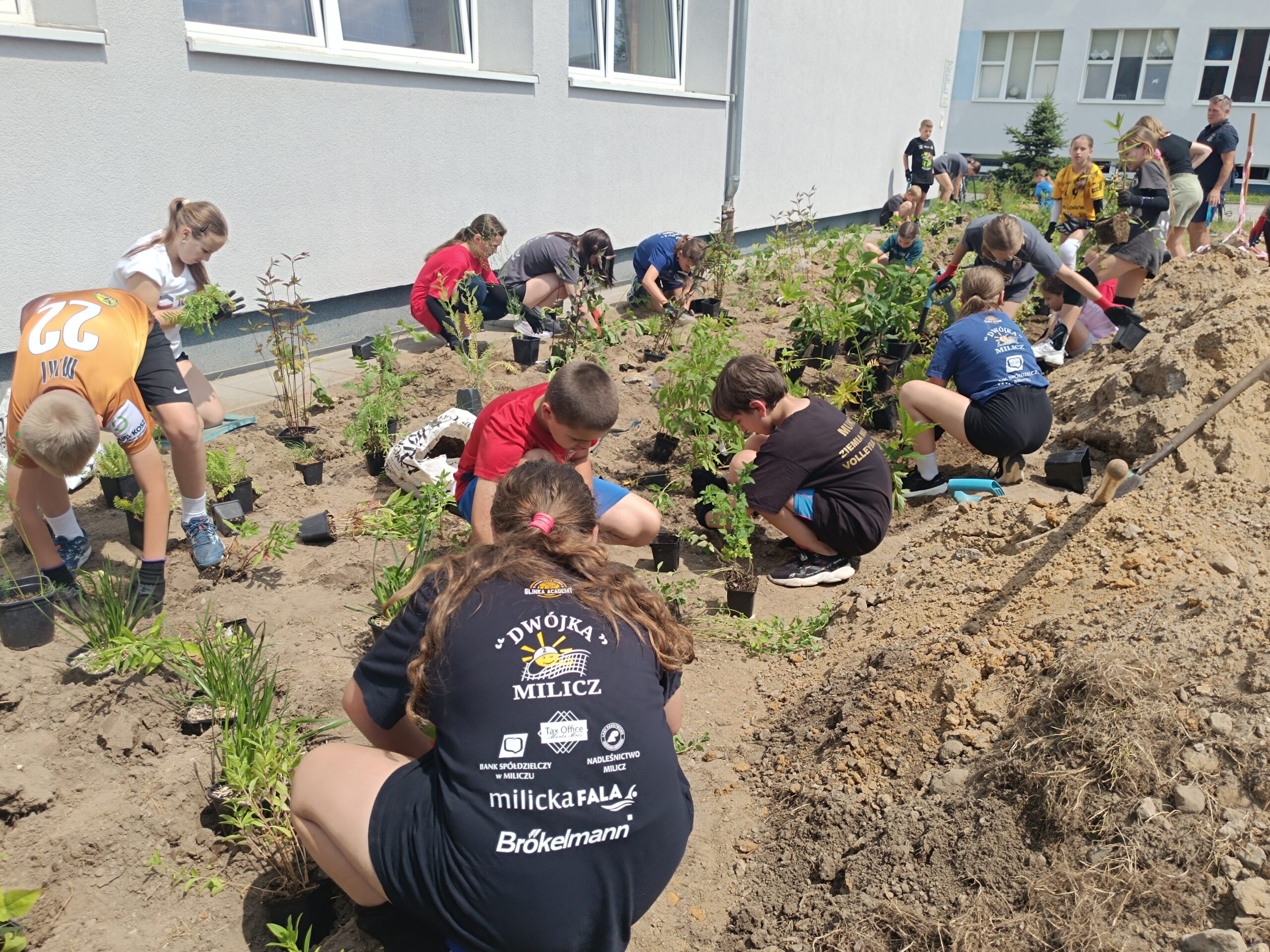 „Błękitno-Zielony Milicz OdNowa” – razem dla klimatu!